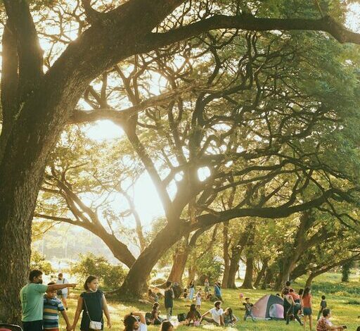 Come organizzare una giornata all’aperto perfetta con la famiglia