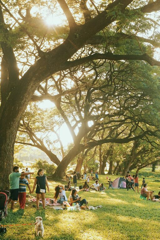 Come organizzare una giornata all’aperto perfetta con la famiglia
